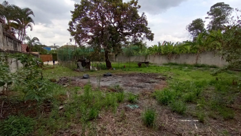 LOTE | FLEMING — foto 4